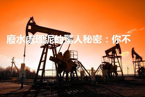 廢水處理泥的驚人秘密：你不明白的環(huán)保新突破！